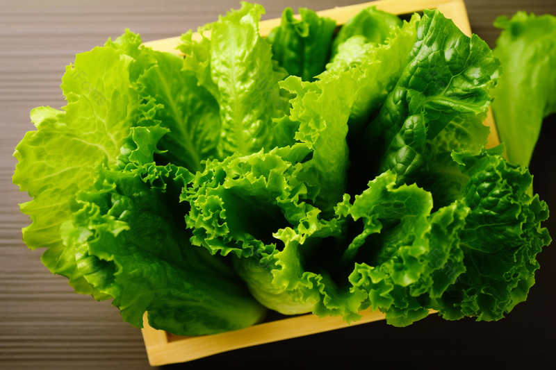 电商产品拍摄美食美味食物生菜,高清,摄影图,摄影图片,图片大全,摄影图免费下载